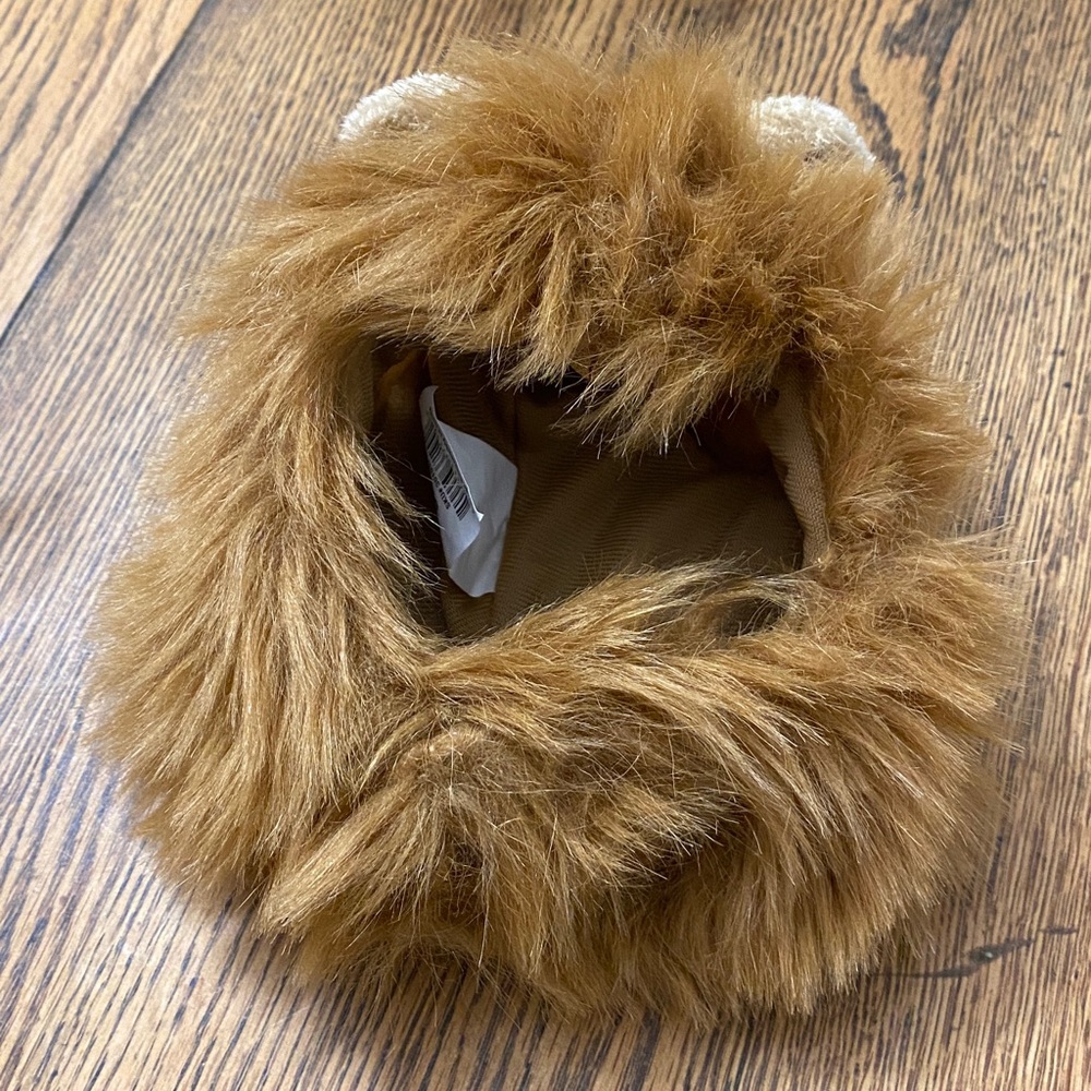 Cat Lion Costume